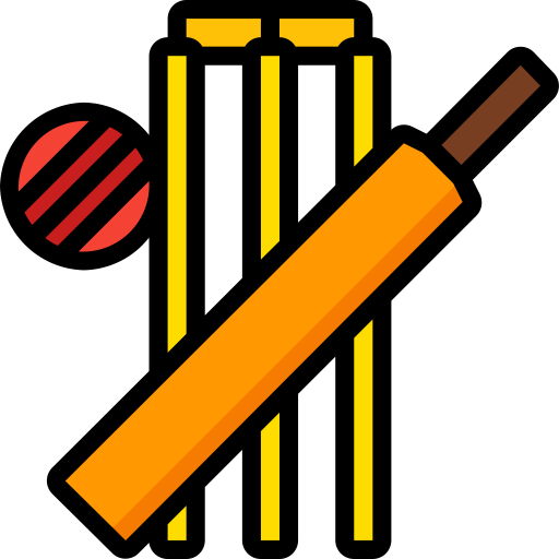 Cricket Practice Net